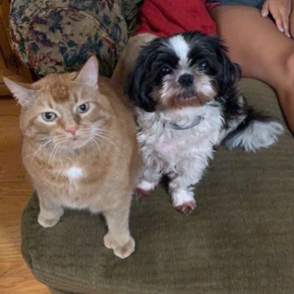 Meet your Posher, Debbie